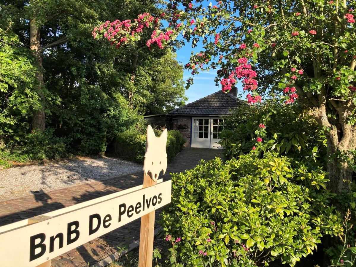 Bnb De Peelvos Дерне Екстер'єр фото